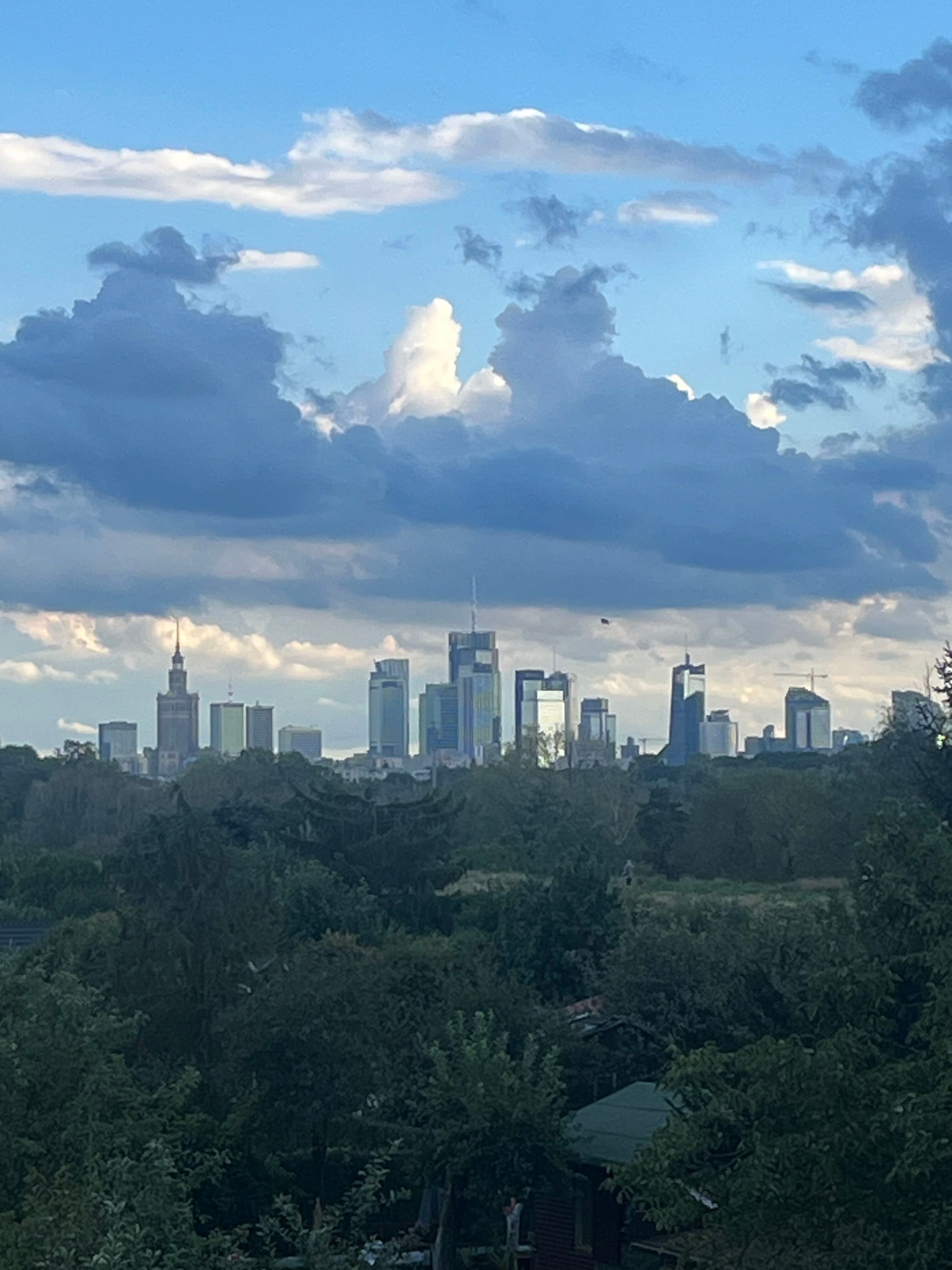 Warsaw skyline from Bulwary Praskie: the Palace of Culture and the business towers above the riverside trees.