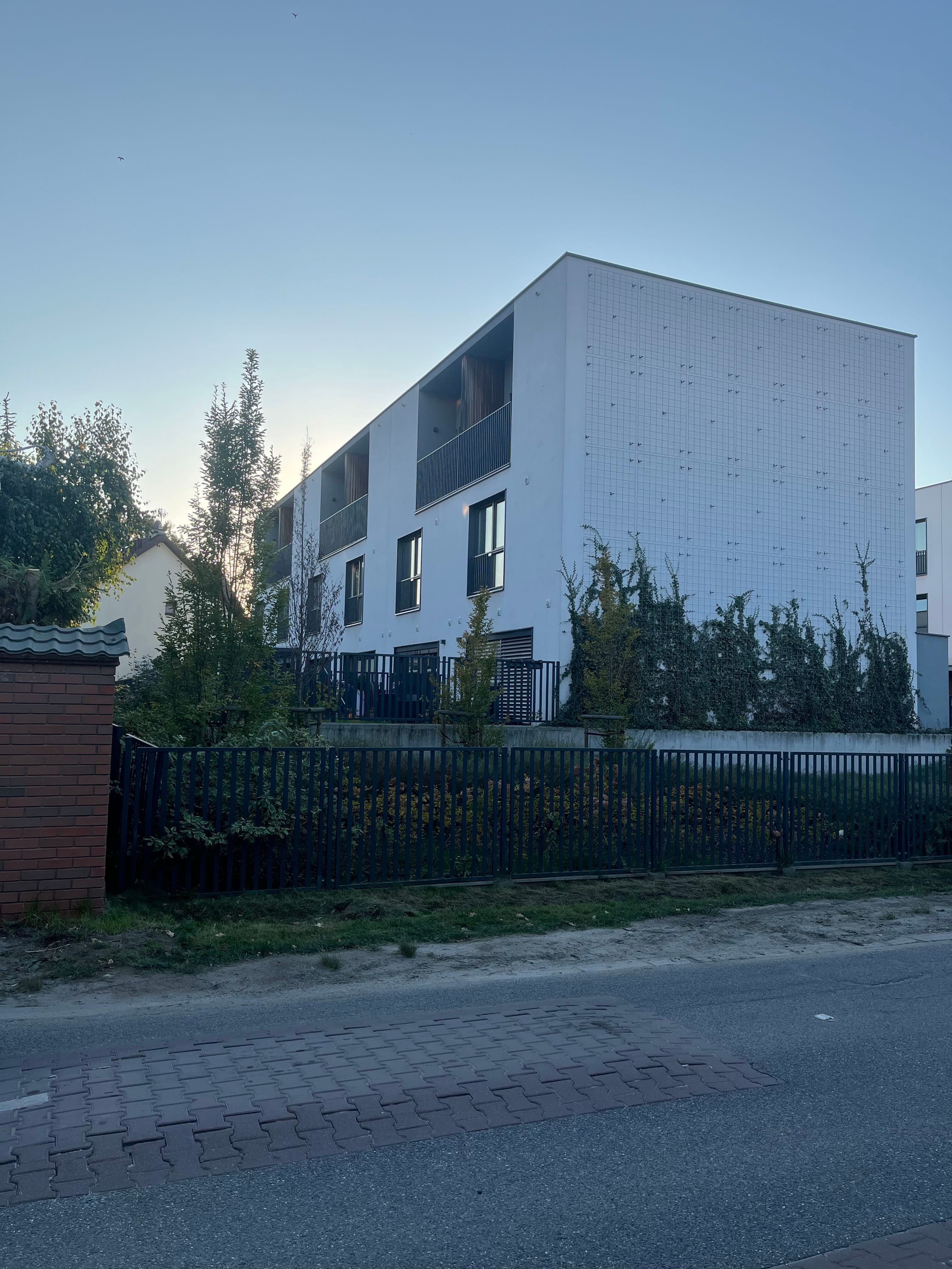 Side of the buildings with recessed balconies, private ground-floor gardens, and climbing plants on the end wall.