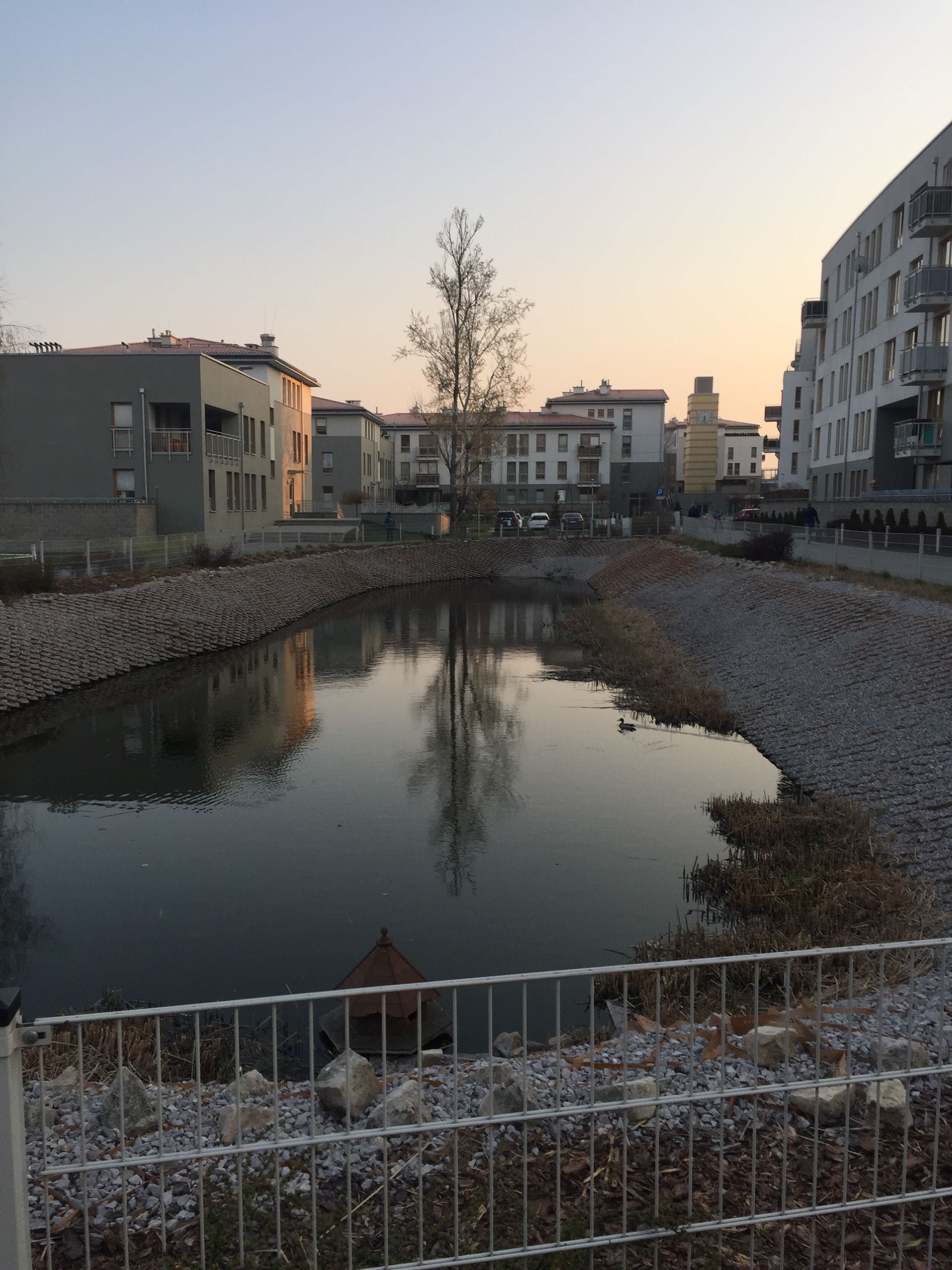 Another view of the artificial lake at Zielona Italia, with a small wooden structure by the water.