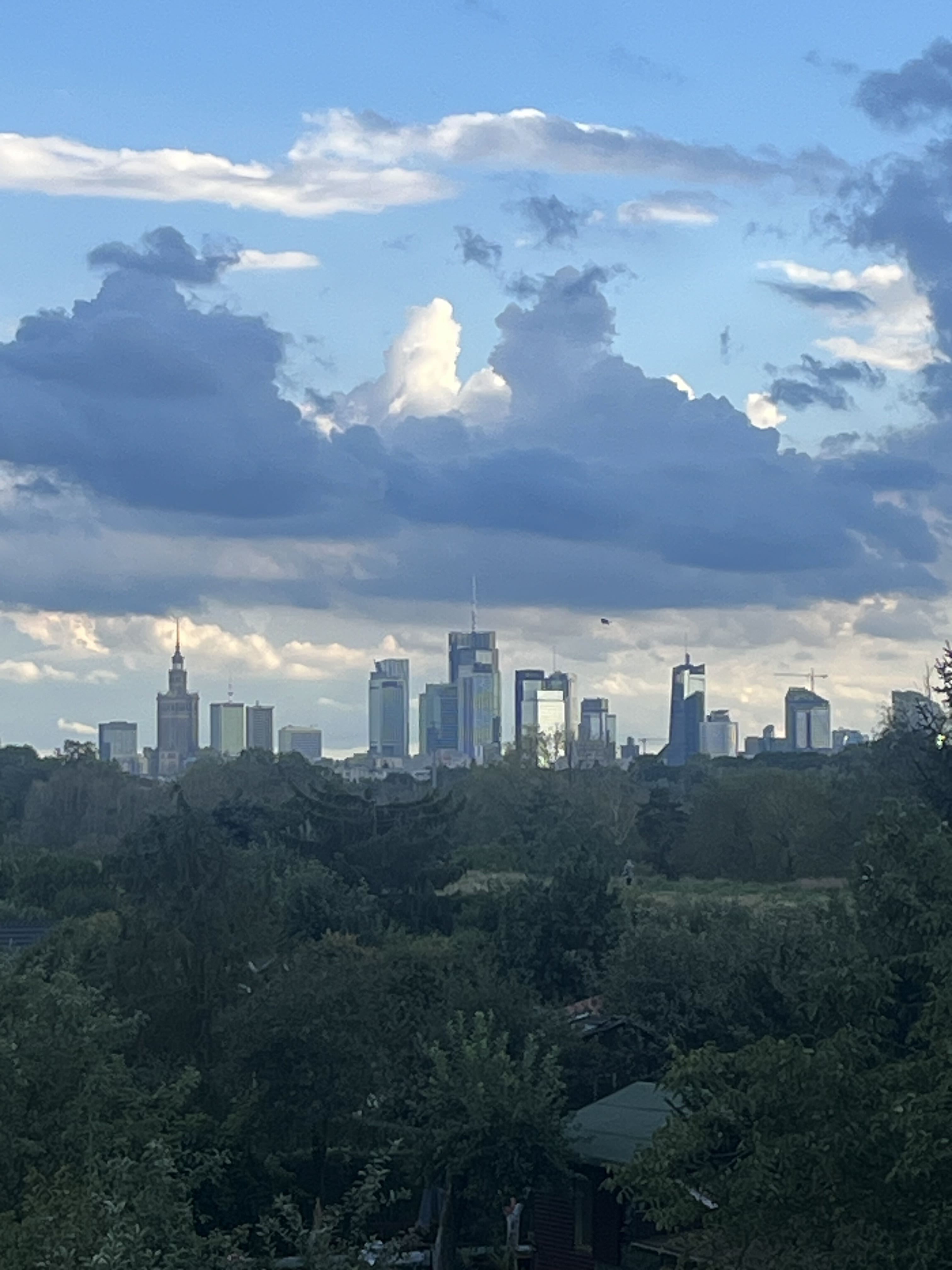 Warsaw skyline from Bulwary Praskie: the Palace of Culture and the business towers above the riverside trees