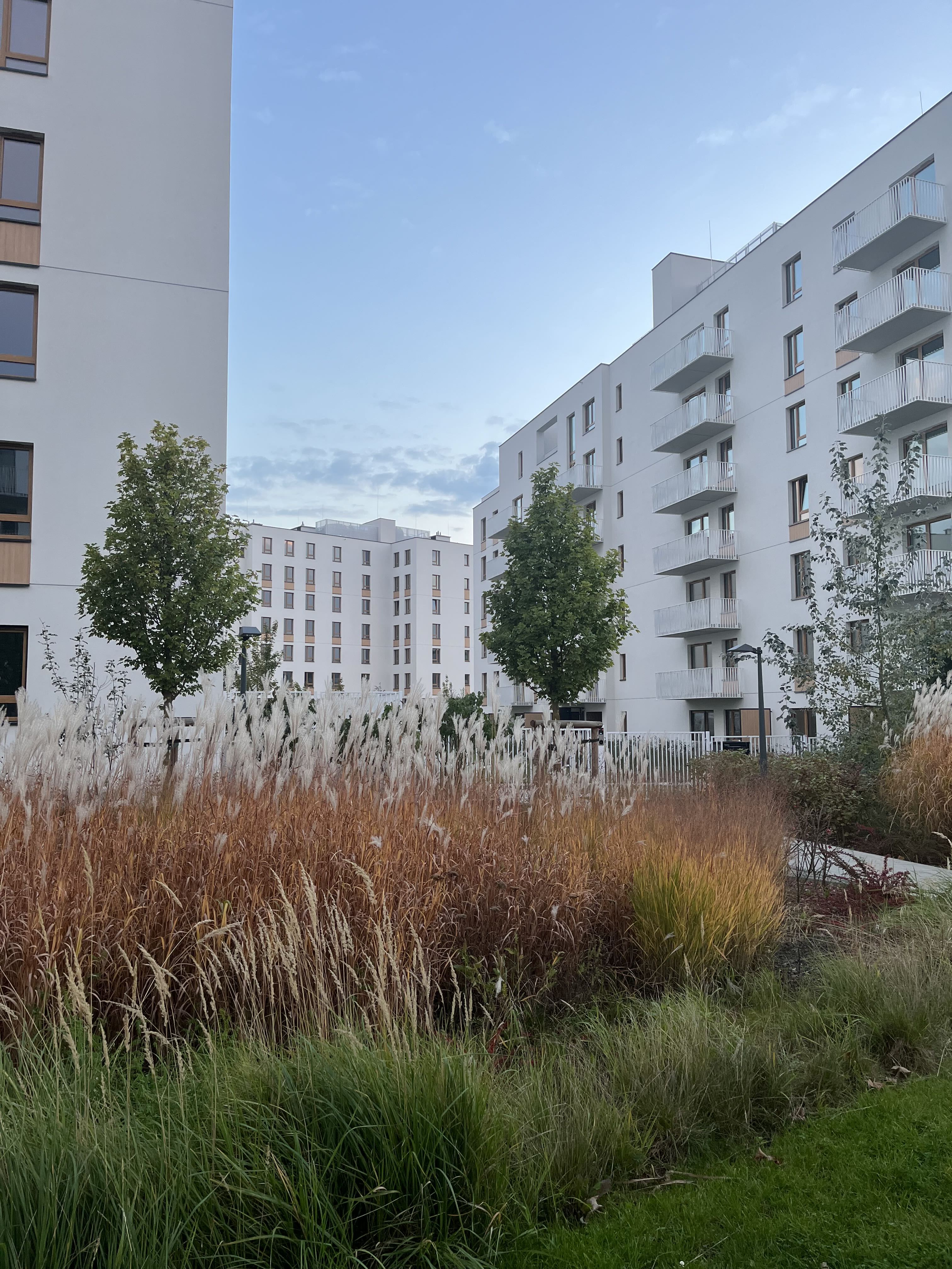 Green courtyard planting at Neowo