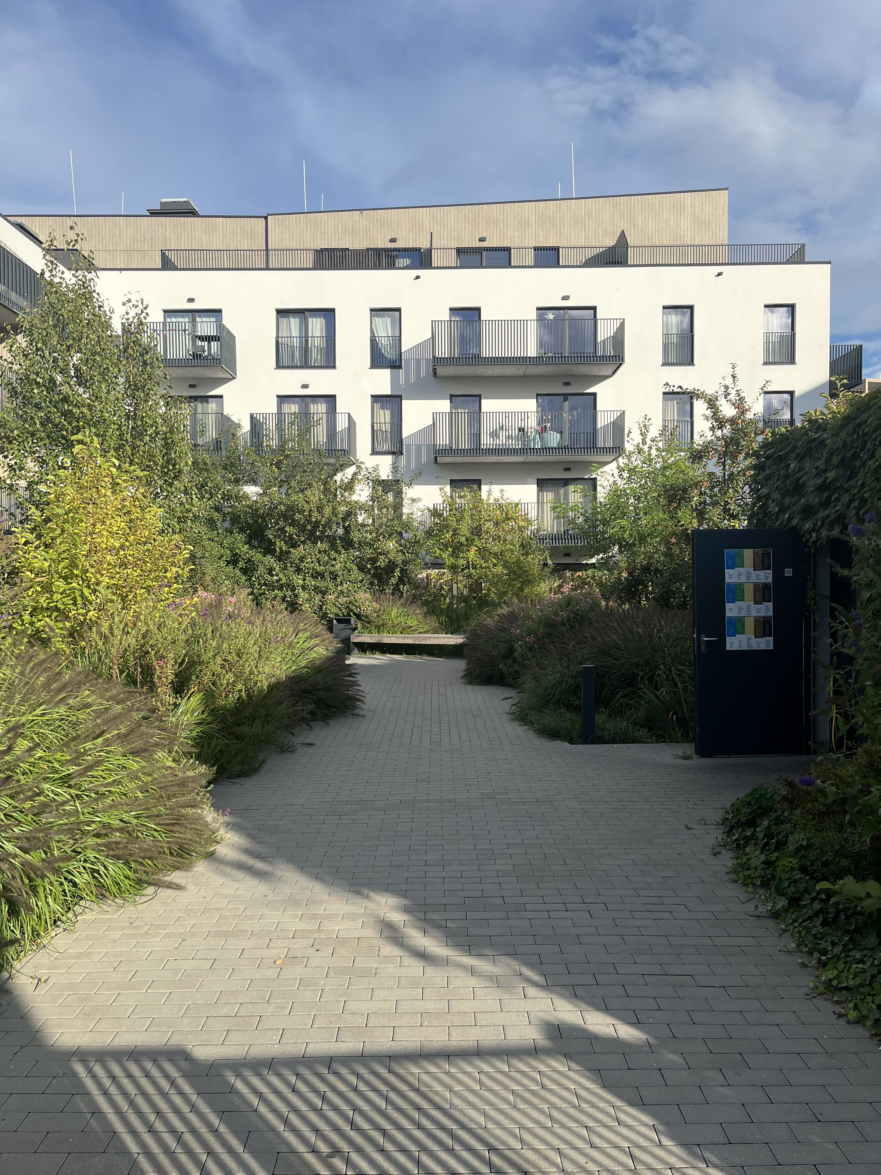 Stage II courtyard path with white façades, birch plantings, and a bench