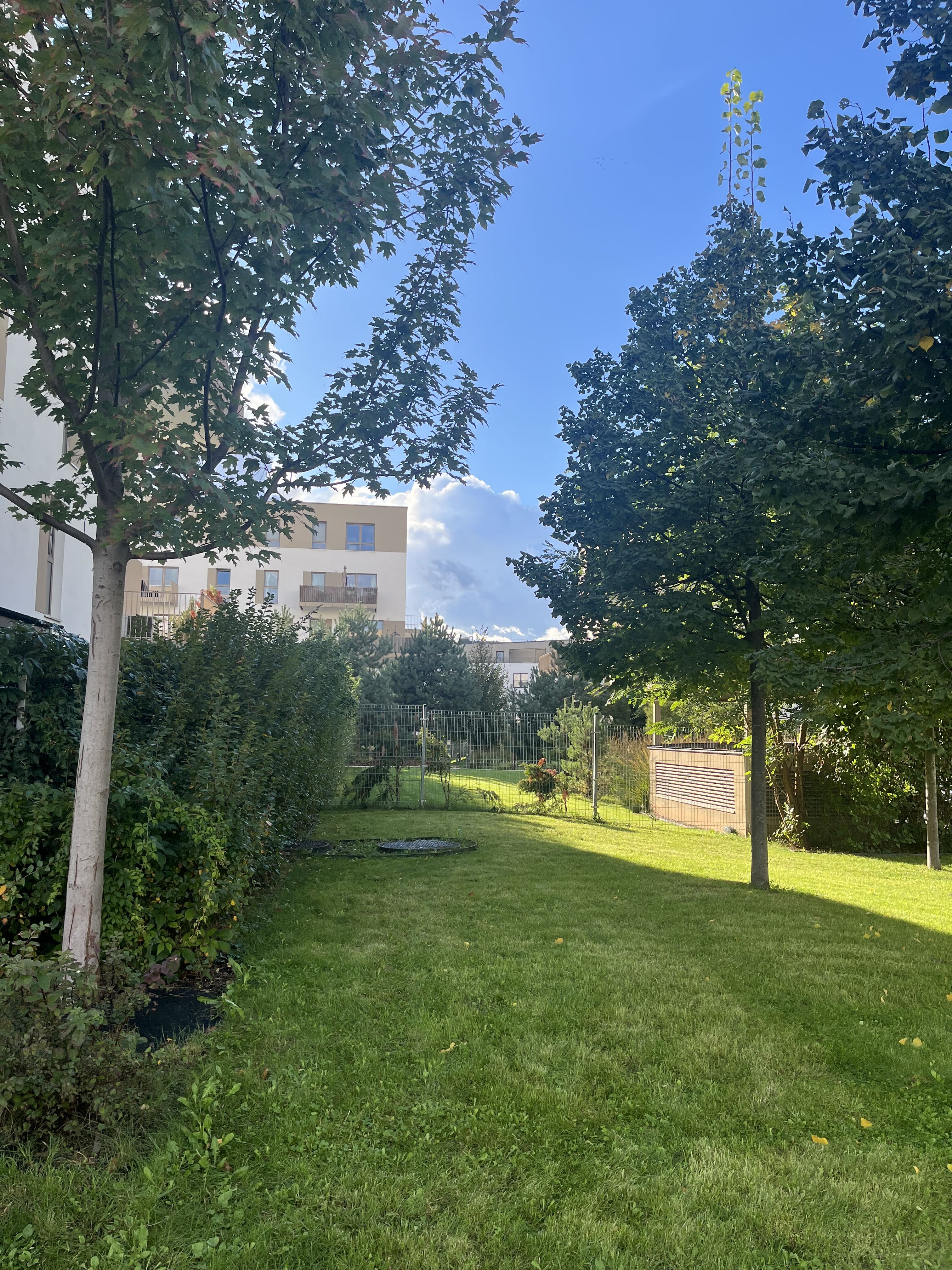 Shared lawn framed by mature trees, with white mid-rise blocks beyond the hedge
