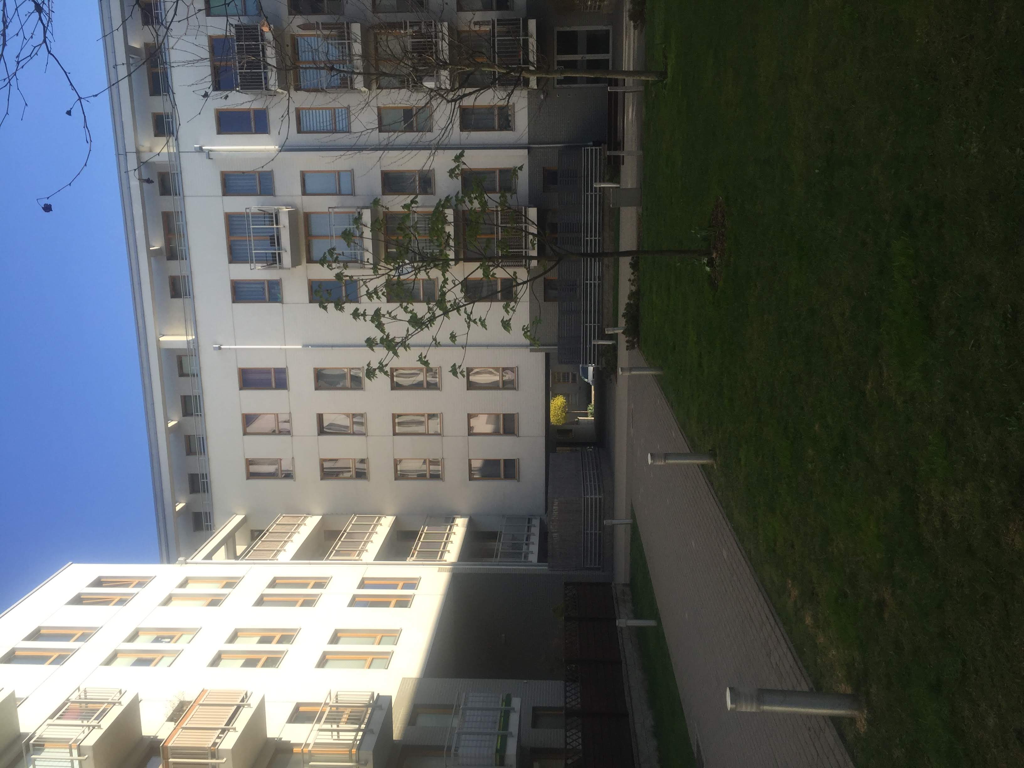 Courtyard at Zielona Italia with a paved path, lawn and young trees between white apartment blocks